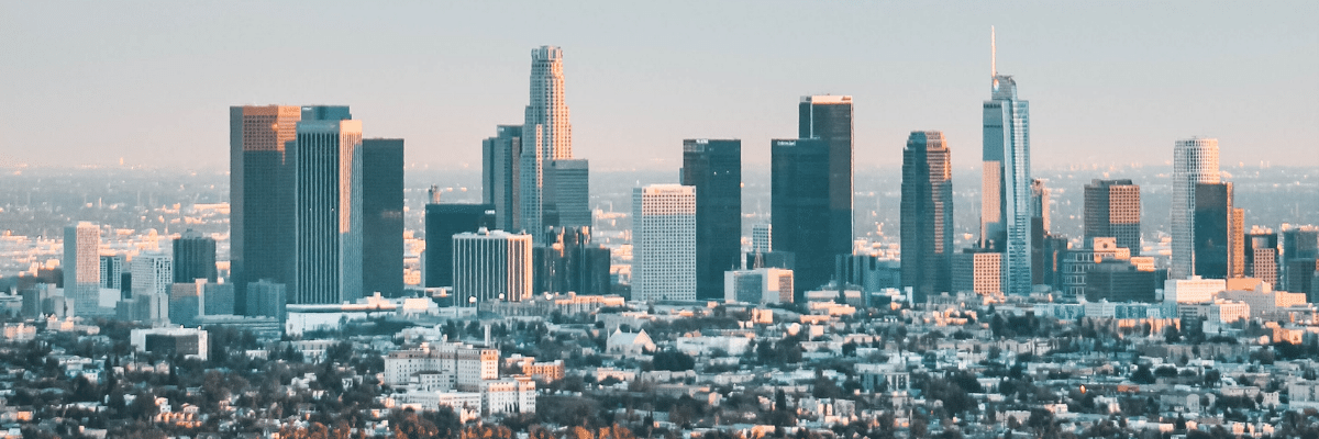 Downtown Los Angeles Skyline View